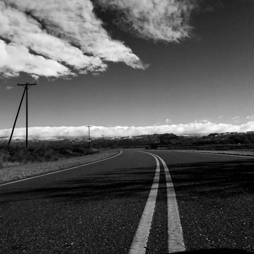 Photo #8756461