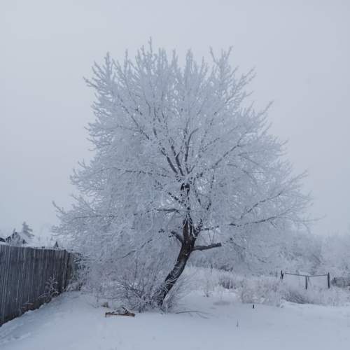 Photo #8756469
