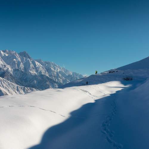 Photo #8756641