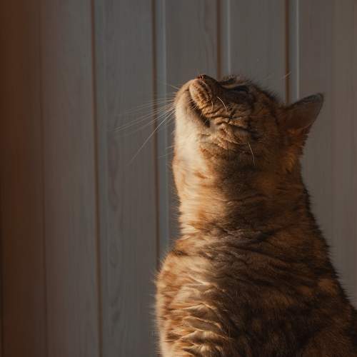 Photo #8756800