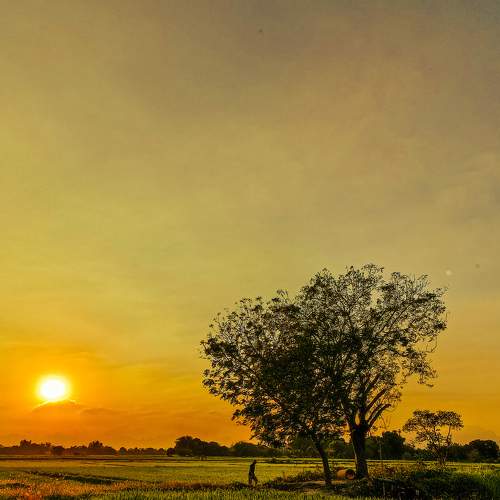Photo #8756864