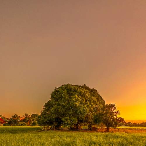 Photo #8756876