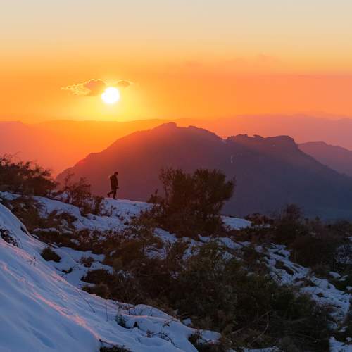Photo #8756945