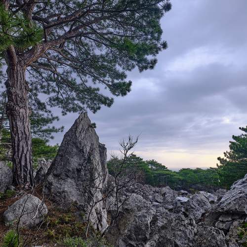 Photo #8757031