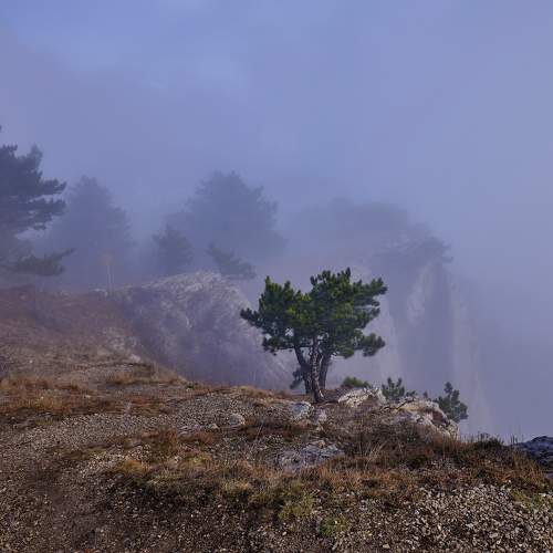 Photo #8757045