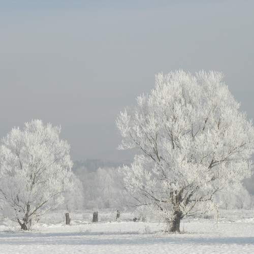 Photo #8757157