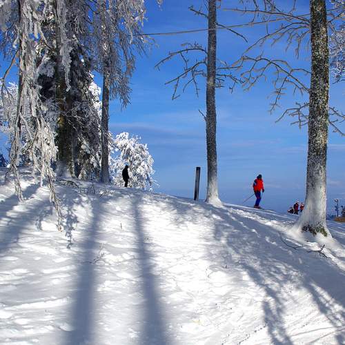 Photo #8757161