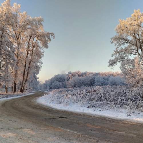 Photo #8757196