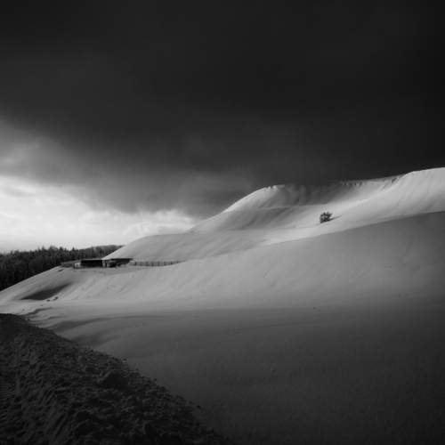 Фотография #8757270