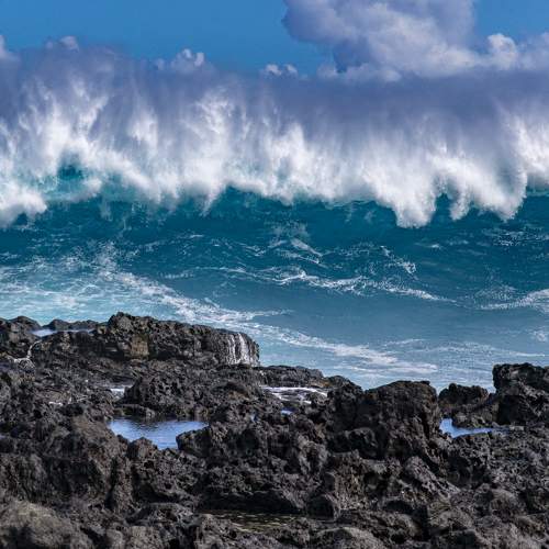 Photo #8757852