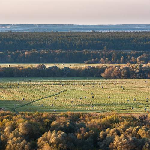 Photo #8758109