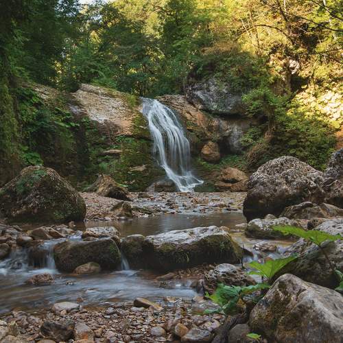Photo #8758194