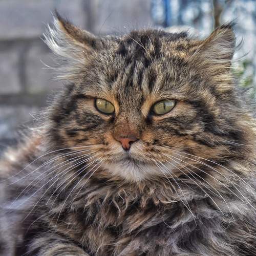 Photo #8758212