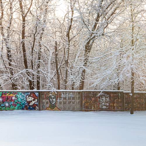 Photo #8758284