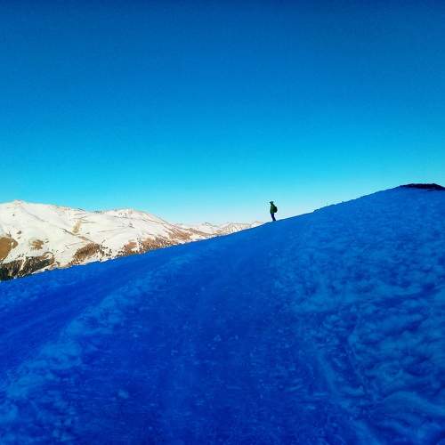 Photo #8758394