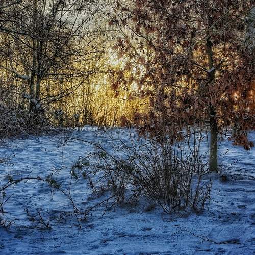 Photo #8758503