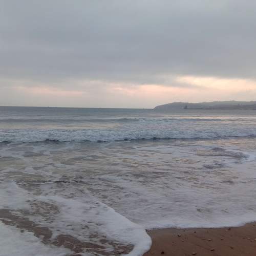 Photo #8758718