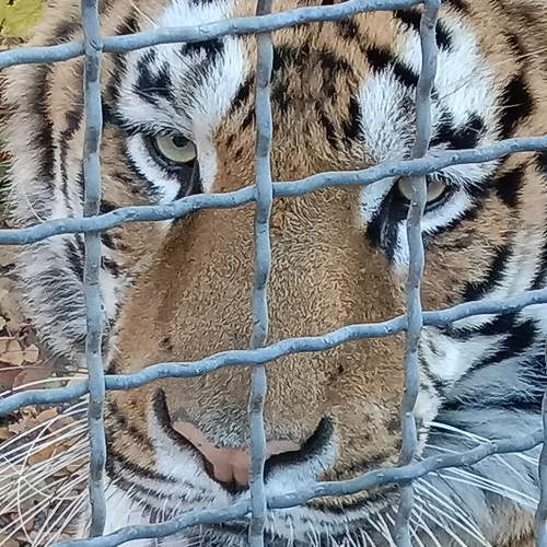Photo #8758723