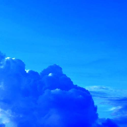 Photo #8758749