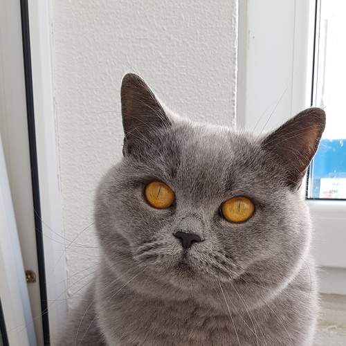 Photo #8758757