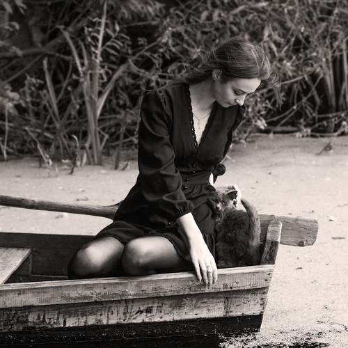 Photo #8758829