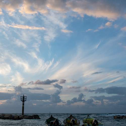 Photo #8758831