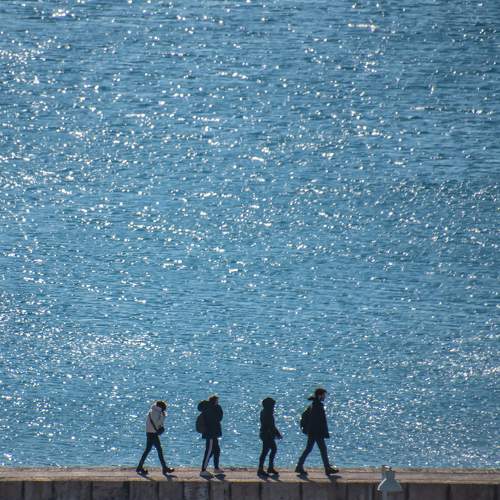 Photo #8758959