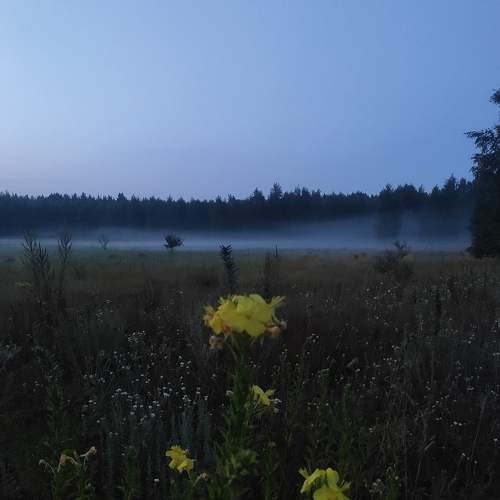 Photo #8758991