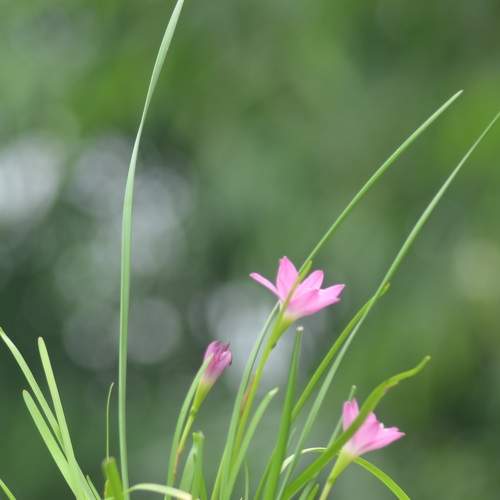 Photo #8759282