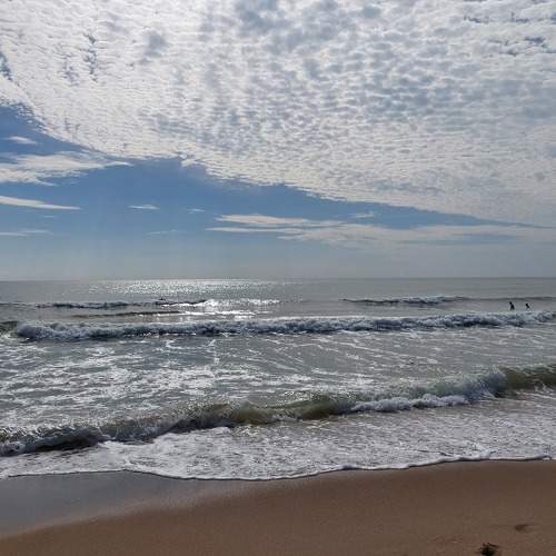 Photo #8759354