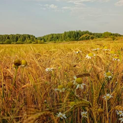 Photo #8759428