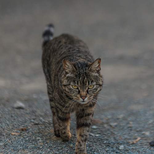 Photo #8759822