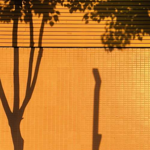 Photo #8760093