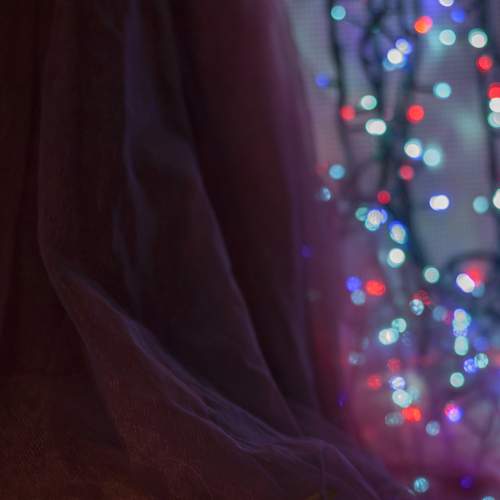 Photo #8760115