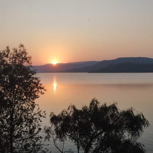 Photo #8760366