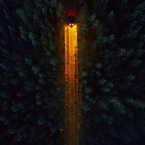 Photo #8761186