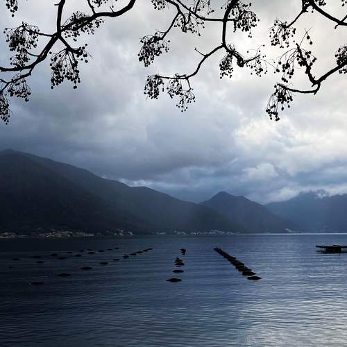 Photo #8761393