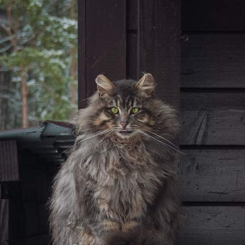 Photo #8761830