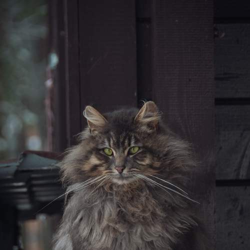 Photo #8761831