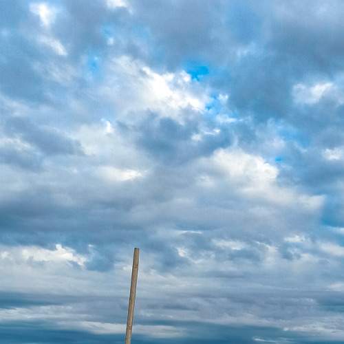Photo #8761897