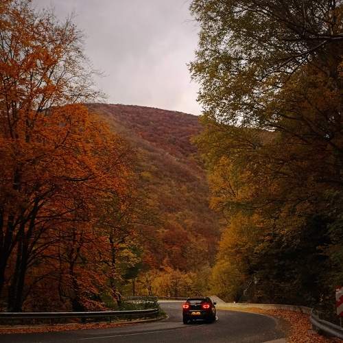 Photo #8761899