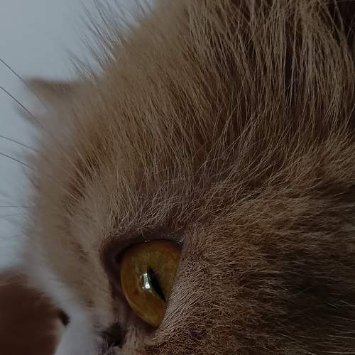 Photo #8762003