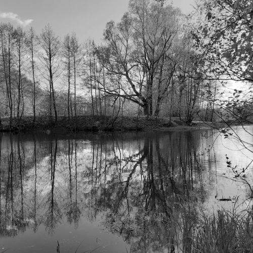 Photo #8762051