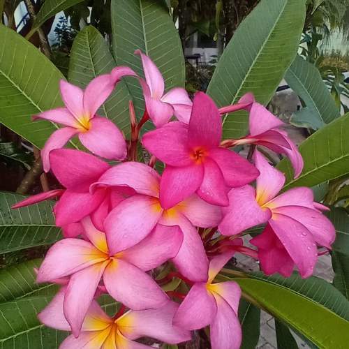 Photo #8762063