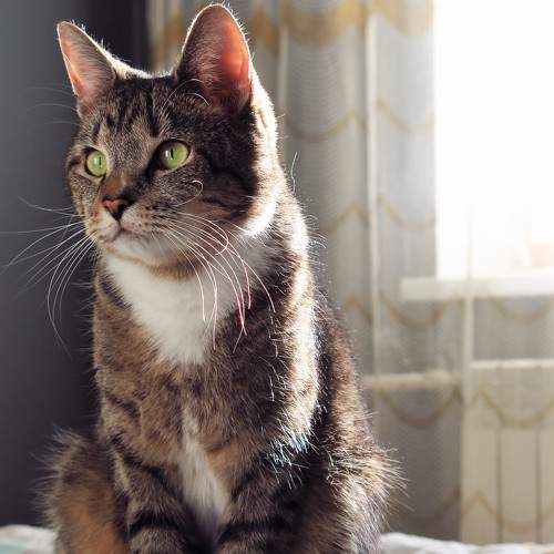 Photo #8762276
