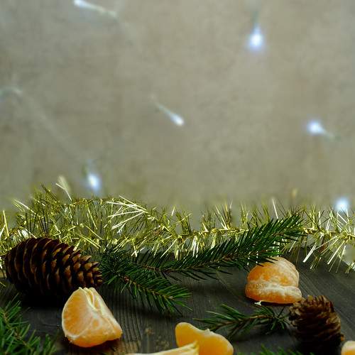 Photo #8762719