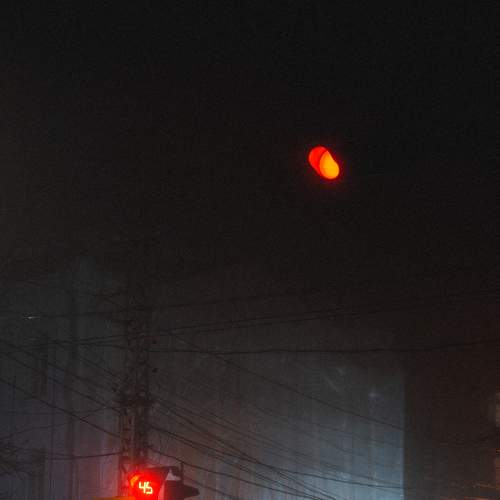 Фотография #8763590