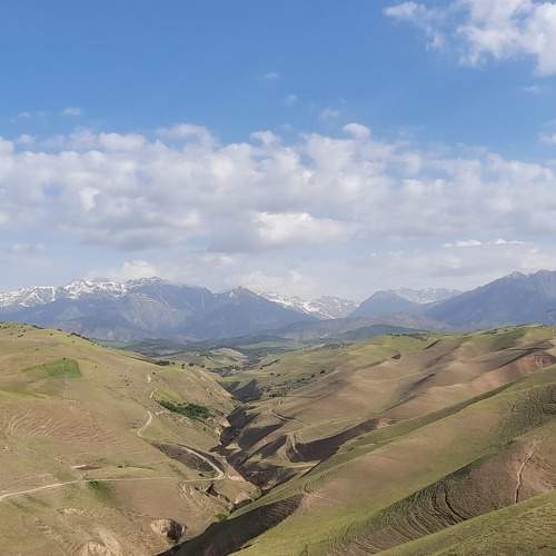 Photo #8763649