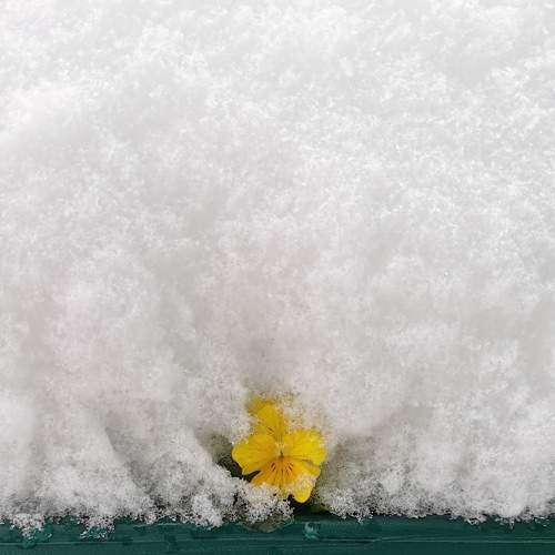 Фотография #8763659