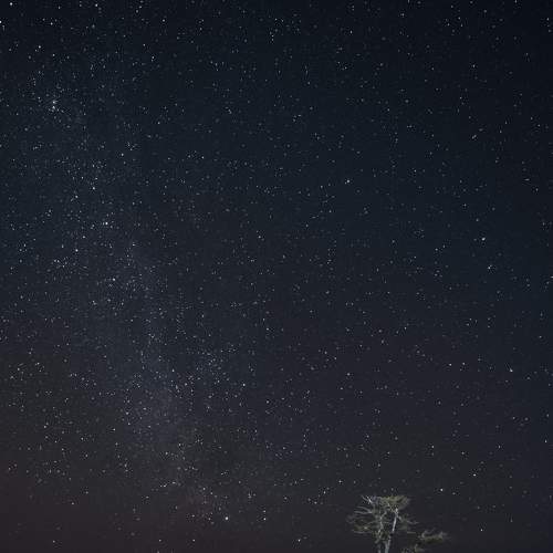 Photo #8763668
